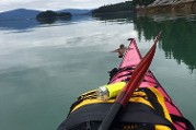 Experience Homer, Water Taxi - Bay Tours - Homer Alaska - Kachemak  Bay