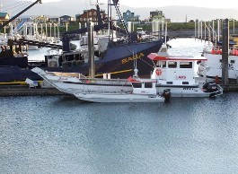 Water Taxi, Bay Tours Homer AK