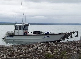 Water Taxi, Bay Tours Homer AK