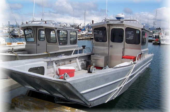 Water Taxi Landing Craft At The Dock