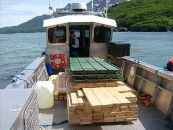 Water Taxi Freight Services