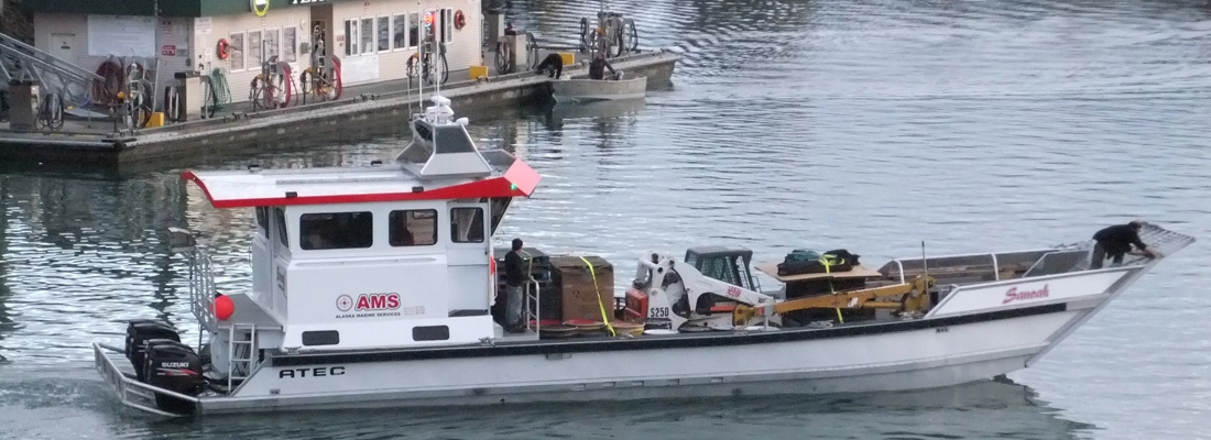 Kachemak Bay Tours