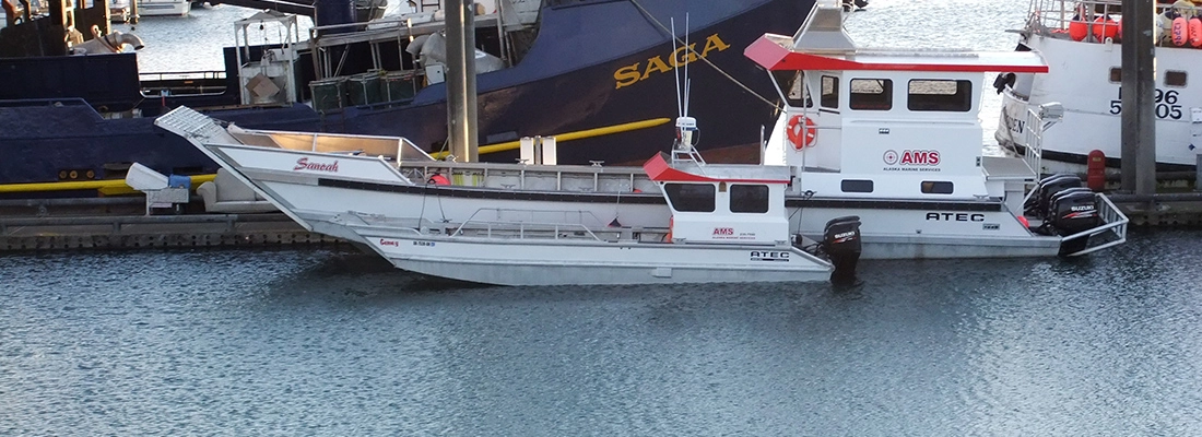 Kachemak Bay Tours